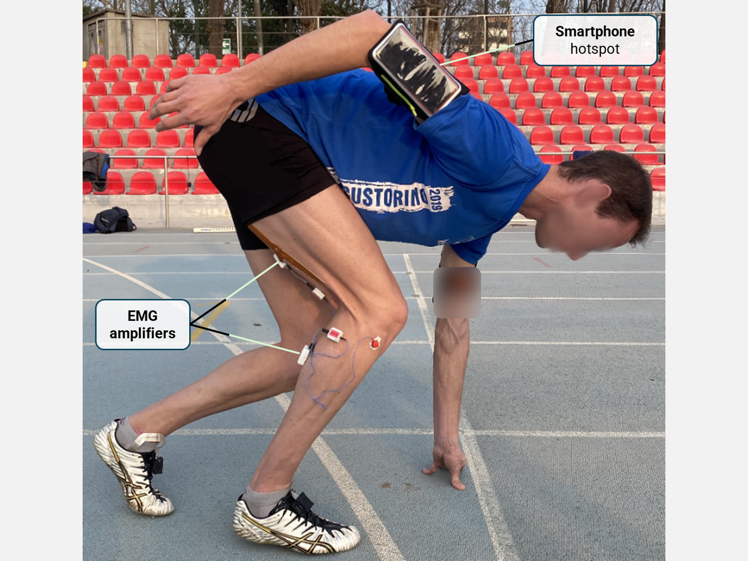 Applications to the sydy of muscle neuromechanics